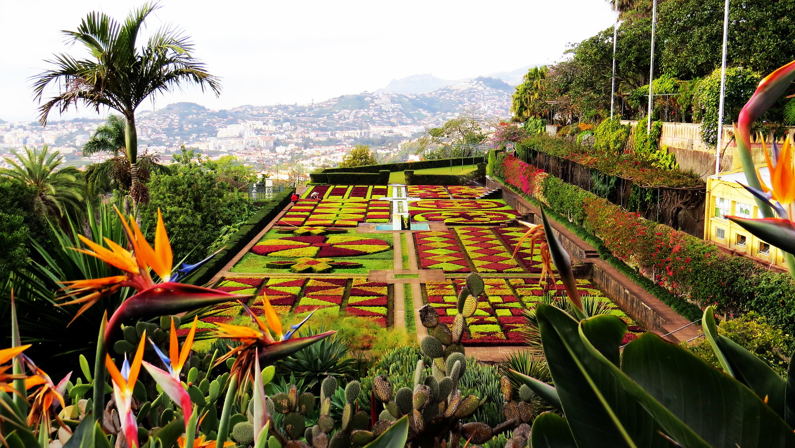 Madeira prin ochii lui Ea Ejersbo 2022