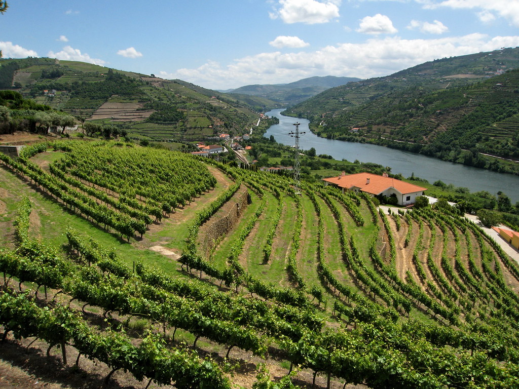 Porto È™i nordul Portugaliei vÄƒzute de MÃ¡rio Linhares 2022
