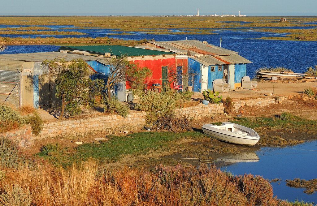 Ria Formosa si Mlastinile din Castro Marim 2022