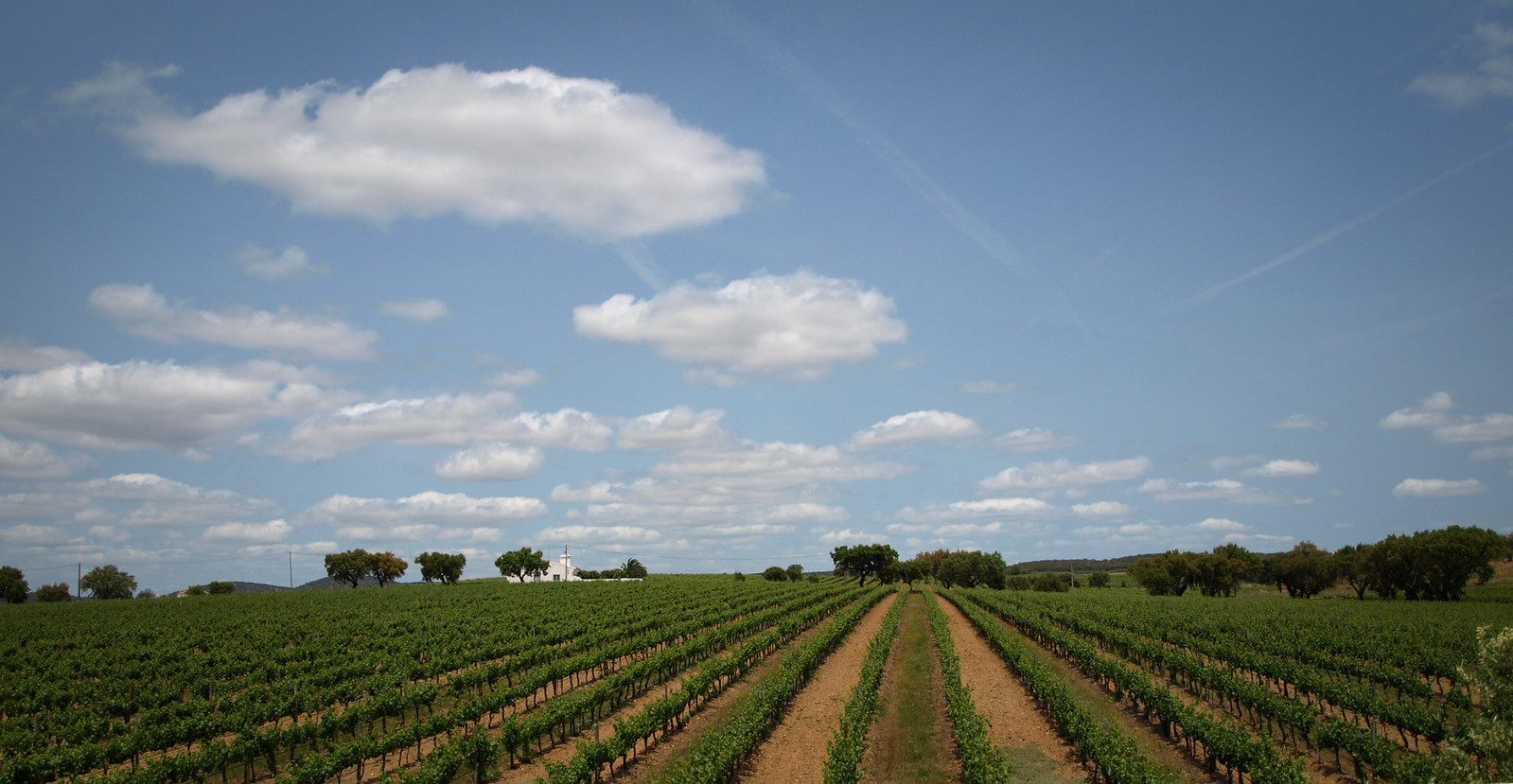 Ruta vinului de Alentejo 2022