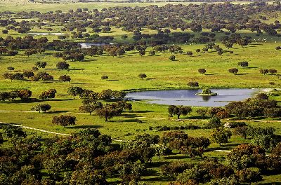 Alentejo prin ochii lui Joao Moreno