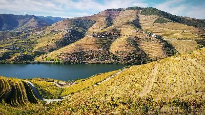 Ruta Vinului Porto È™i Douro